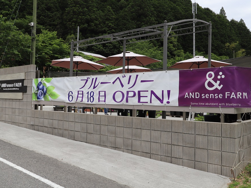 AND sense FARM　OPEN！