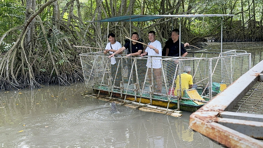 名物ワニ釣り