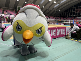 ヴィクトリーナ姫路 破竹の勢い