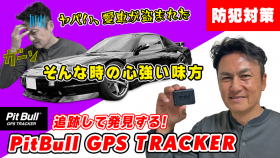 Pit Bull GPS TRACKER NOBチャンネル